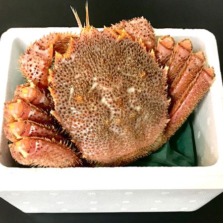 [函館北栄]北海道産茹で毛蟹 500g 1尾