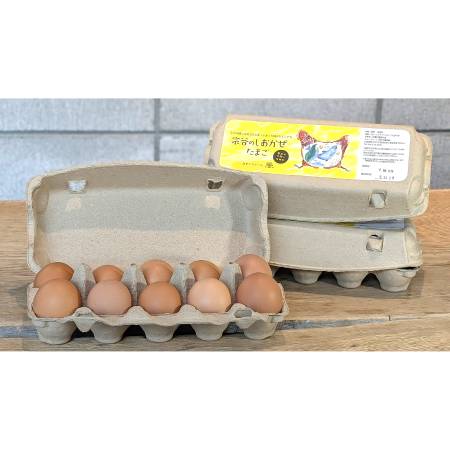 [カヤニファーム]宗谷のしおかぜたまご10個入×3ケース