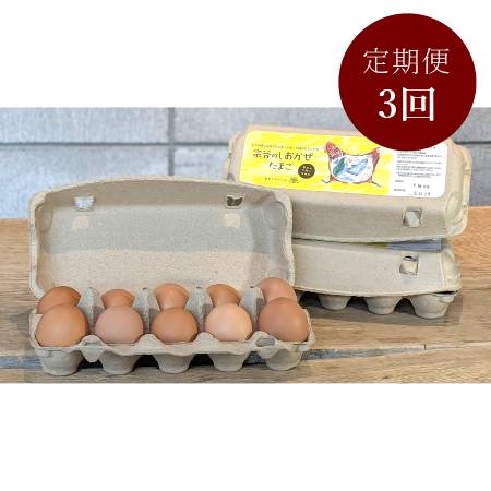 [カヤニファーム]宗谷のしおかぜたまご10個入×3ケース3回定期便