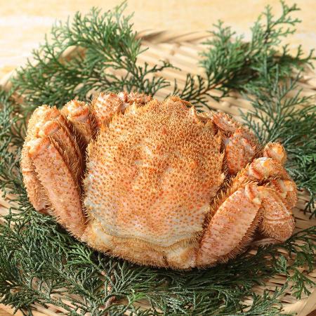[たつみ食品]宗谷産毛がに500g