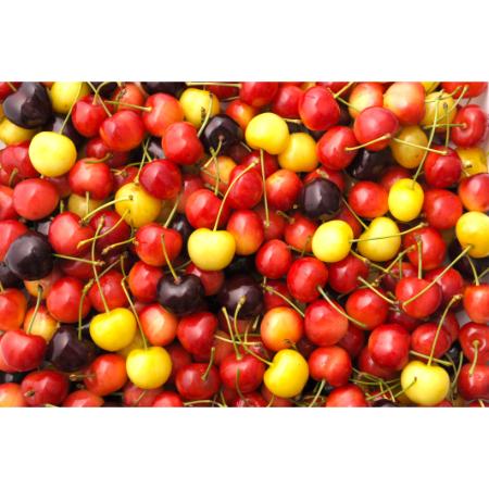 [大橋さくらんぼ園]さくらんぼ詰め合わせバラ500g×2種