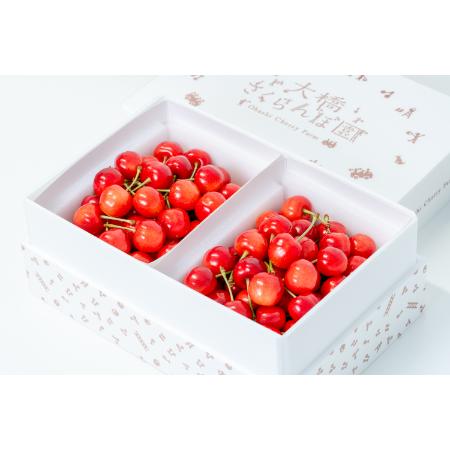 [大橋さくらんぼ園]さくらんぼ佐藤錦バラ500g×2パック