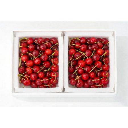 [大橋さくらんぼ園]さくらんぼ勝錦(ほまれにしき)バラ500g×2パック