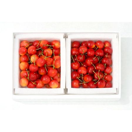 [大橋さくらんぼ園]さくらんぼCセット(南陽・紅秀峰)バラ500g×2パック
