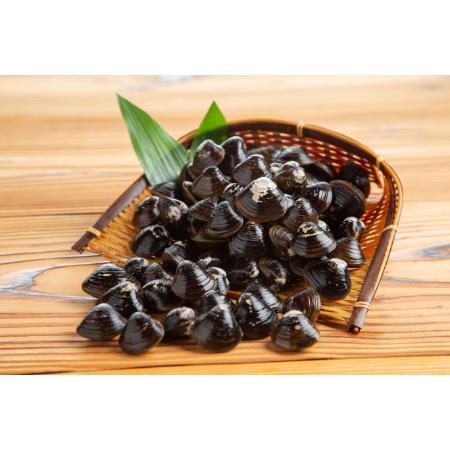 [丸富農水]冷凍砂出ししじみ250g×5袋