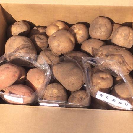 有機栽培じゃがいも食べ比べセット