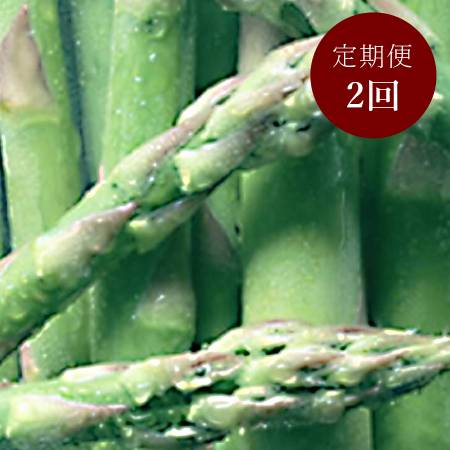[刀祢農園]春夏アスパラセット2L〜3L 800g2回定期便