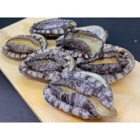 [おらえのごっつお]海洋牧場育ち養殖活蝦夷あわび7.5cm以上×6個