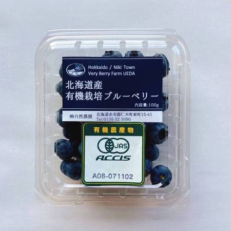 [Very Berry Farm UEDA]オーガニック生ブルーベリー100g×12パック