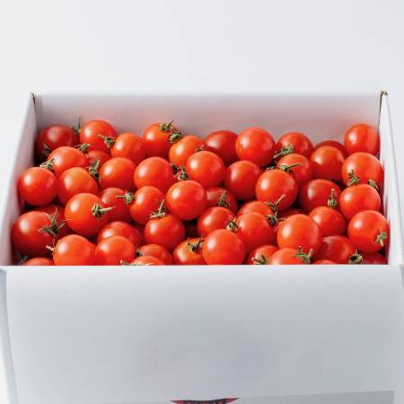 [北のほっぺ]樹上完熟 高糖度ミニトマト1kg