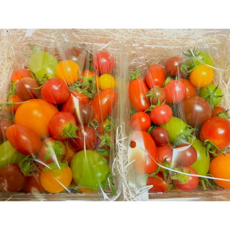 [Kanbutsu Cafe]完熟彩り有機デザートトマト 500g×2