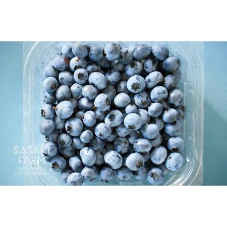 [佐々木ファーム]自然栽培フレッシュブルーベリー1kg(500g×2)