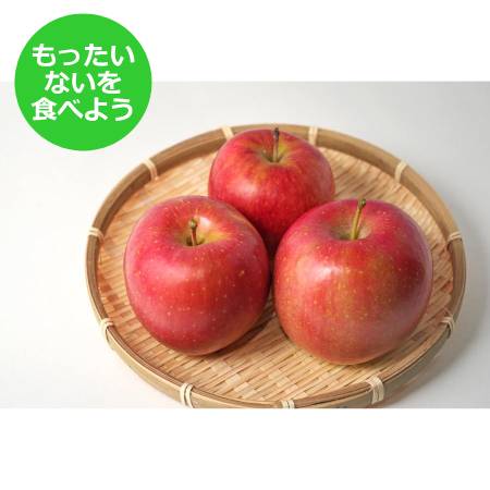 2025年10月発送予定[もったいない!を食べよう]平均糖度12度以上 早生ふじ 5kg