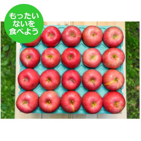 2025年11月発送予定[もったいない!を食べよう]平均糖度12度以上早生ふじ5kg