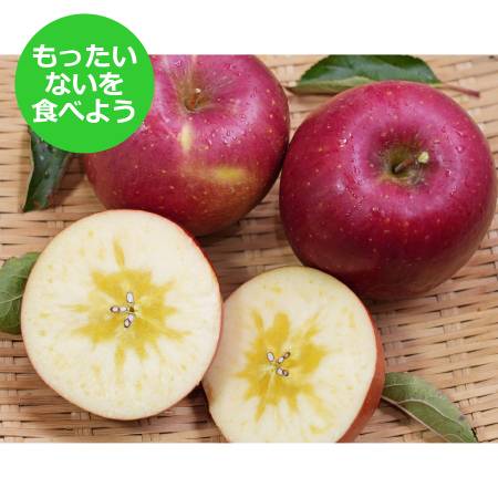 葉とらずサンふじ家庭用5kg/平均糖度13度以上[もったいない!を食べよう]11月発送