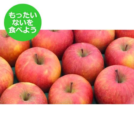 2025年11月発送予定[もったいない!を食べよう]糖度13度以上 葉とらずサンふじ5kg