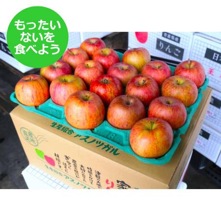 2025年11月発送予定[もったいない!を食べよう]糖度13度以上 サンふじ5kg