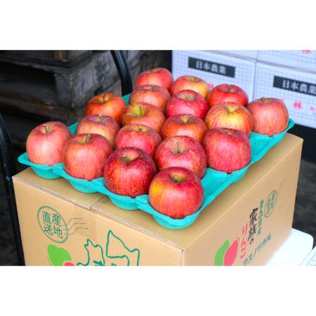 [2025年11月発送予定]平均糖度13度以上 贈答用サンふじ3kg