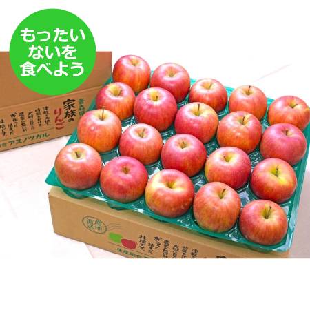 2025年11月発送予定[もったいない!を食べよう]糖度13度以上シナノスイート5kg