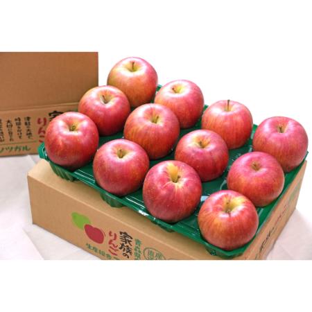 [2025年11月発送予定]平均糖度13度以上 贈答用シナノスイート5kg