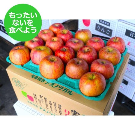 サンふじ家庭用5kg/平均糖度13度以上[もったいない!を食べよう]1月発送