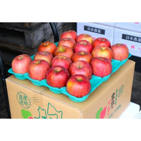 サンふじ贈答用3kg/平均糖度13度以上(1月発送)