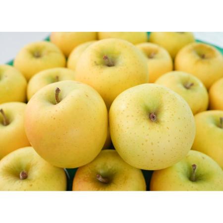 シナノゴールド贈答用5kg/平均糖度13度以上(1月発送)