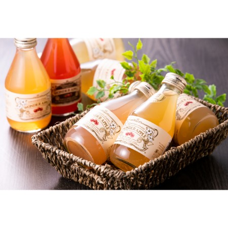 [WONDER APPLE]カルネ りんごジュース180ml×12本(6種×2本)