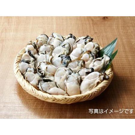 [大和田家の牡蠣]生牡蠣むき身(加熱用)1kg