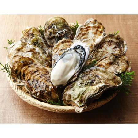 [大和田家の牡蠣]殻付き牡蠣Lサイズ10個(加熱用)