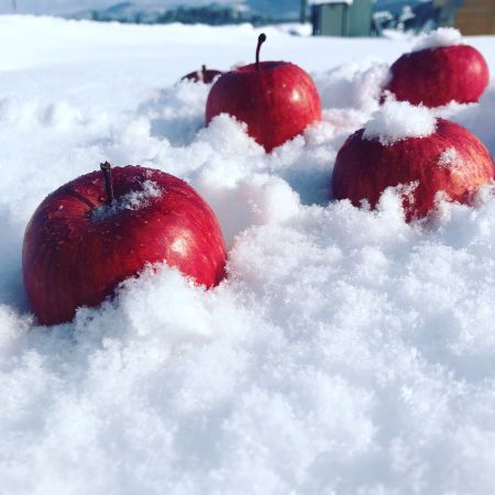 雪中貯蔵りんご 6玉/化粧箱入 (ギフト品質)