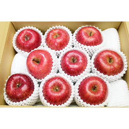 舘山りんご(サンふじ・秀品)大玉・3kg(8〜10玉)