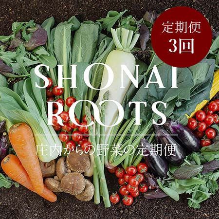 [毎月届く定期便3カ月コース][SHONAI ROOTS]旬の野菜セット