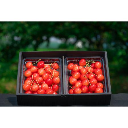 [アンスリーファーム]紅秀峰 秀 L以上 バラ600g