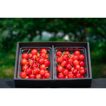 [アンスリーファーム]紅秀峰 特秀 L以上 バラ600g