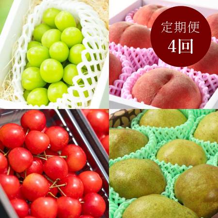 [アンスリーファーム]特秀品Aコース[定期便4回]