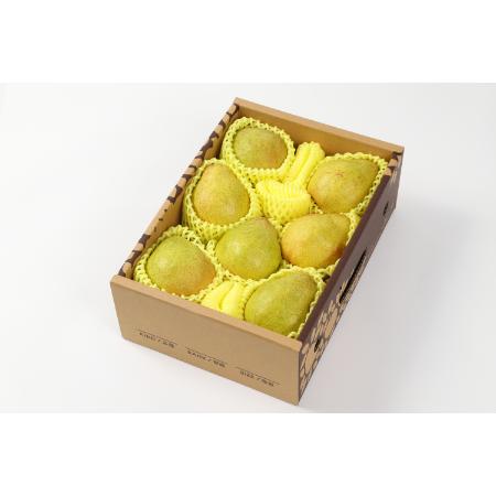 [アンスリーファーム]西洋梨「ラ・ネージュ」2kg(5〜8玉) 特秀品