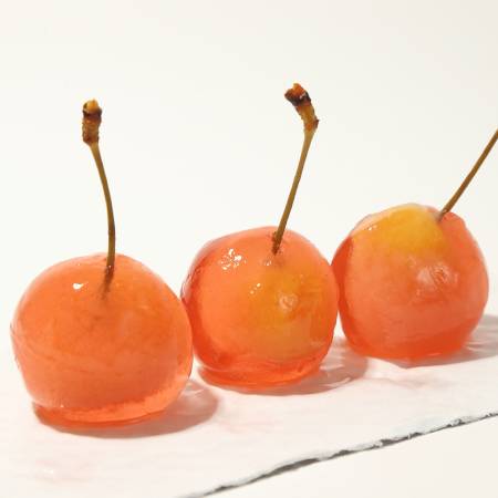 [サエグサファクトリー]プチジェリチェリー8個入×1箱