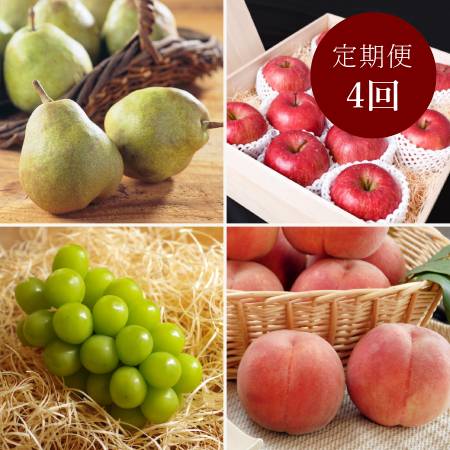 [丸松青果]令和8年産[特秀品]フルーツ 定期便 〜輝〜全4回 (2026年8月〜2026年11月出荷予定)