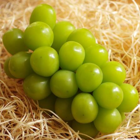 [丸松青果]シャインマスカット特秀品1.4kg(2〜3房) 桐箱入
