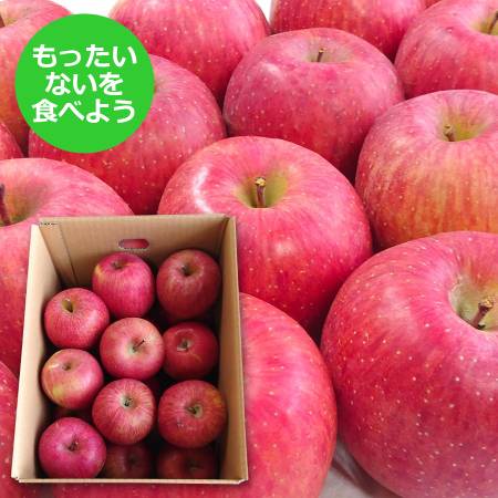[もったいない!を食べよう][ジオンジファーム]りんご(サンふじ)5kg