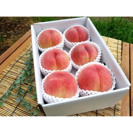 [菱沼農園]旬の品種をお届け 福島の桃2kg相当(5〜9玉)(M0061)