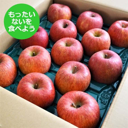 [もったいない!を食べよう]福島りんご(サンふじ)5kg(13〜23玉)(M0092)