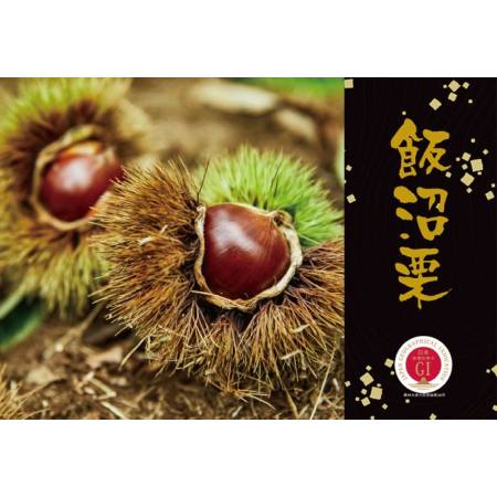 [京橋千疋屋]茨城県産 飯沼栗 600g