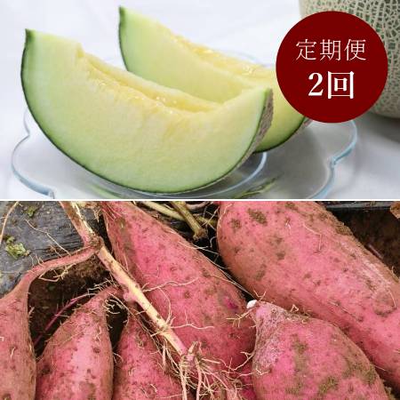 [山一ファーム]旬の時期にお届け 茨城県産メロンとさつまいもの定期便