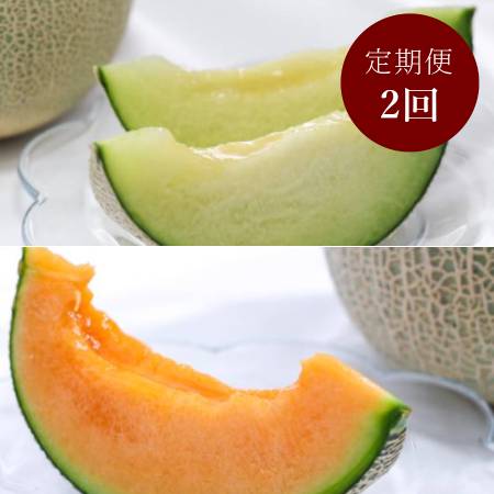 [山一ファーム]旬の時期にお届け 茨城県産 2種のメロンの定期便A