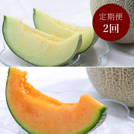 [山一ファーム]旬の時期にお届け 茨城県産 2種のメロンの定期便B