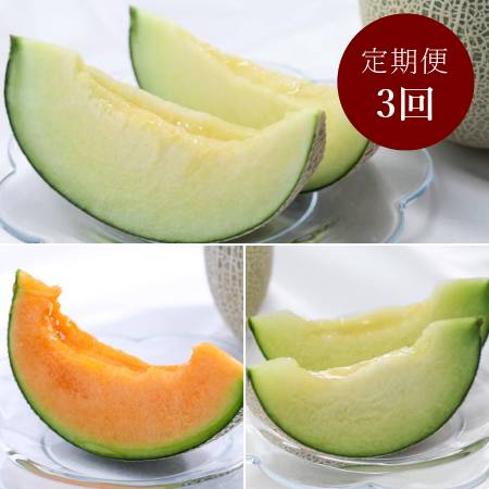 [山一ファーム]旬の時期にお届け 茨城県産 3種のメロンの定期便A
