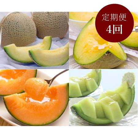 [長洲農園]旬の時期にお届け 品質優良賞受賞 茨城県産 4種のメロンの定期便