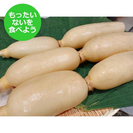 [もったいない!を食べよう][高須農園]訳ありひかりれんこん4kg